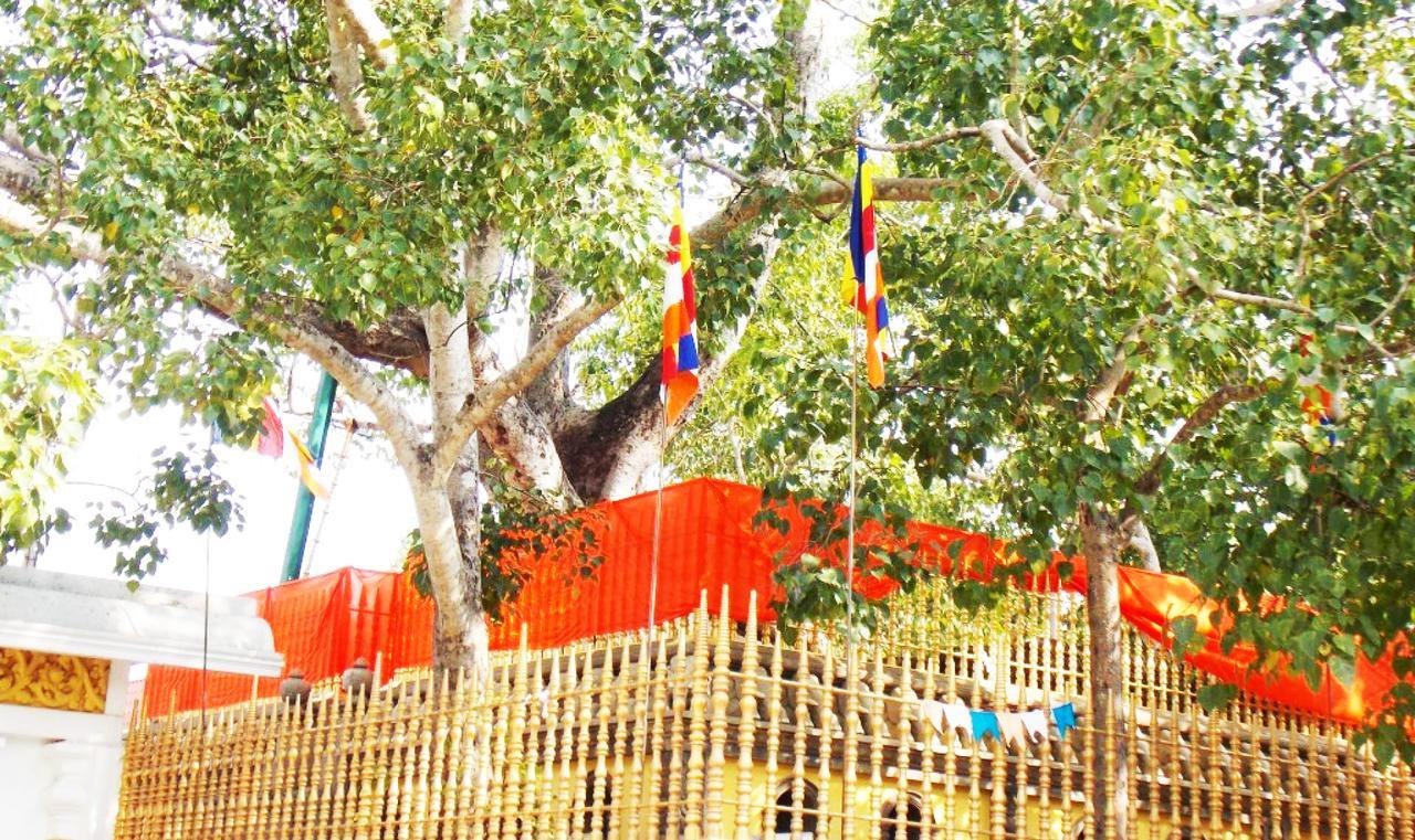 Kubura Resort Anuradhapura Esterno foto